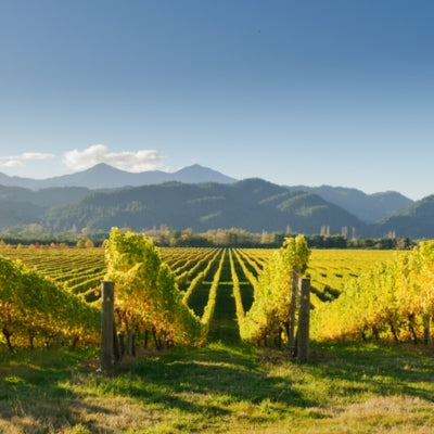 Rethinking terroir: myth, marketing, and modern practices