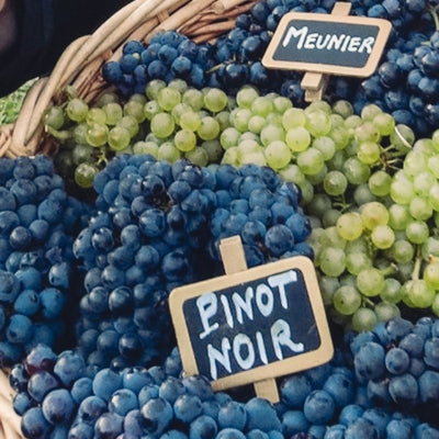 Grape school: Champagne's 8 permitted varietals