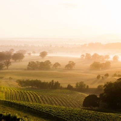 Top Rated Chardonnay from the New World