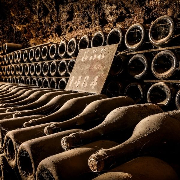 Vintage vs NonVintage Champagne Westgarth Wines