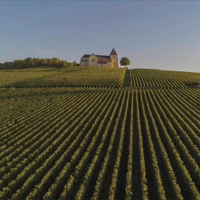 Champagne Part Two: The Land