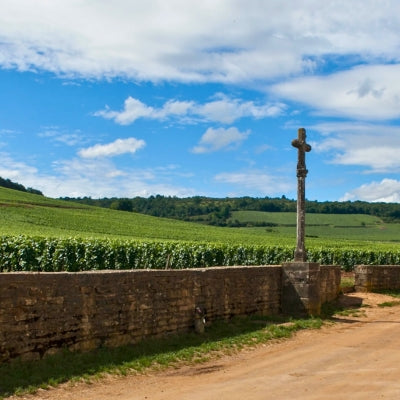 Discover Romanée-Saint-Vivant in six wines