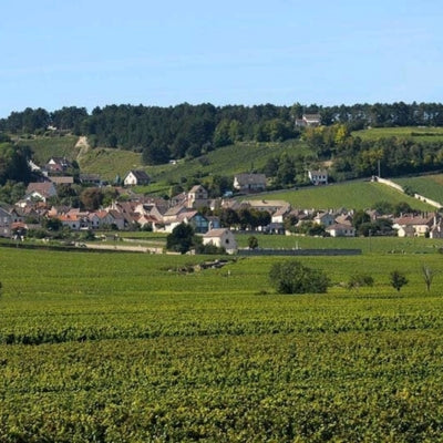 Discover Volnay in six wines