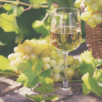 Old World Sauvignon Blanc