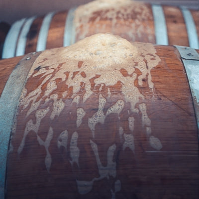 Alcoholic fermentation: yeasts