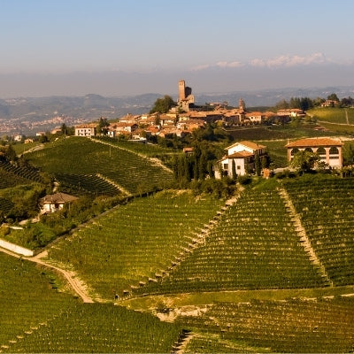 Barolo: Italy's Finest Wine Region?