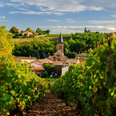 Extraordinary Cru Beaujolais