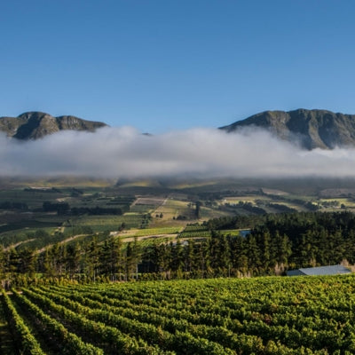Discover South Africa’s Western Cape in six wines