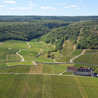 Discover Chambertin in six wines