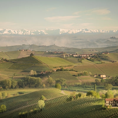 Unveiled: Louis Jadot Wine Photographer Award 2026 shortlist