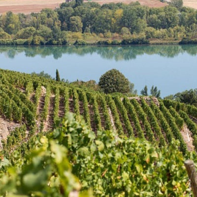 Terroir and the choice of grape varieties