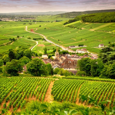 UNESCO Wine World Heritage Sites: Part II