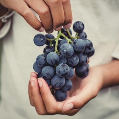 Cabernet Day