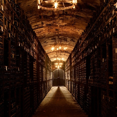 Collectors Corner: Record-breaking auctions