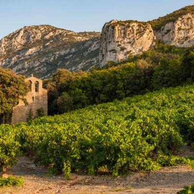 Discover Languedoc-Roussillon in six wines