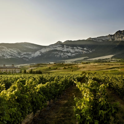Discover Rioja in six wines