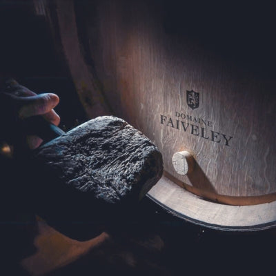 Domaine Faiveley: tradition and innovation in Burgundy and beyond