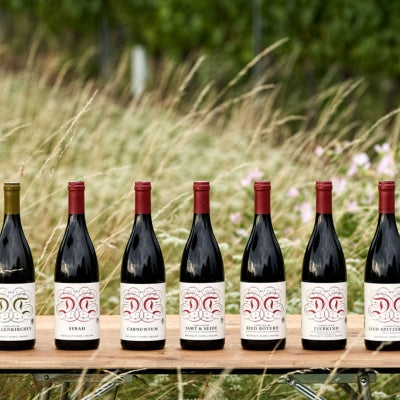 The Unique Wines of Dorli Muhr