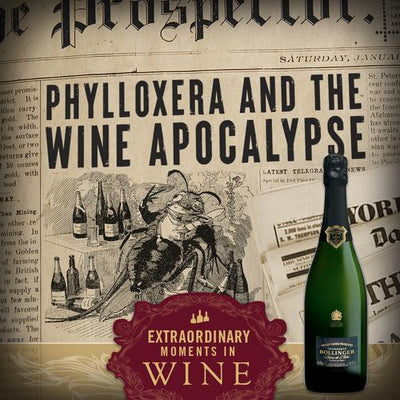 Phylloxera and the Wine Apocalypse