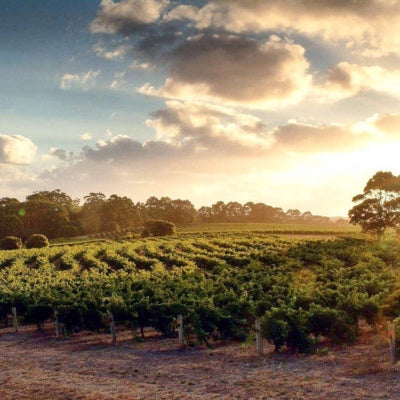 Margaret River: The Bordeaux of Australia