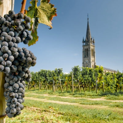 Discover Pomerol in six wines