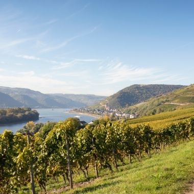 Rheingau, the finest German Wine Region?
