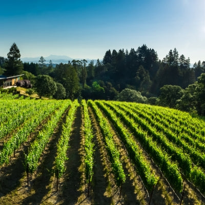 Discover Russian River Valley in six wines