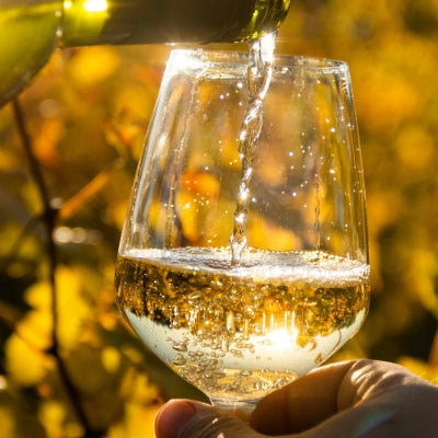 Seven rare picks for National White Wine Day