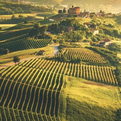 Piemonte: Beyond Barolo