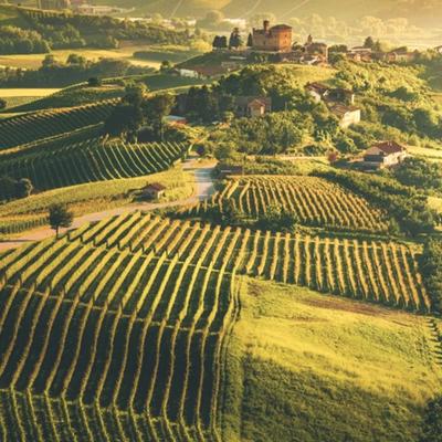 Piemonte: Beyond Barolo
