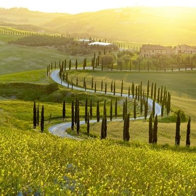 Spotlight on Tuscan Wines