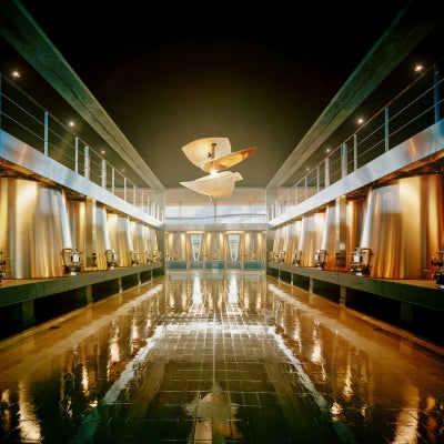 Union des Grands Crus de Bordeaux: The organisation shaping Bordeaux