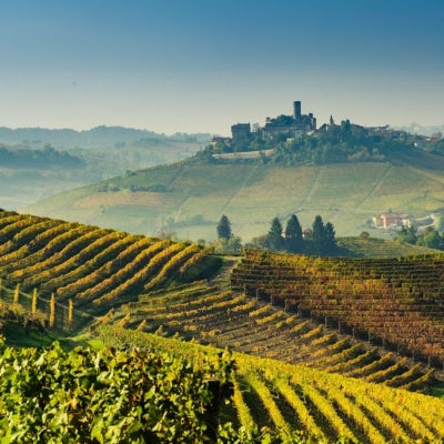 Discover Barolo in six wines