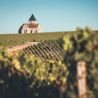 Discover Chablis in six wines