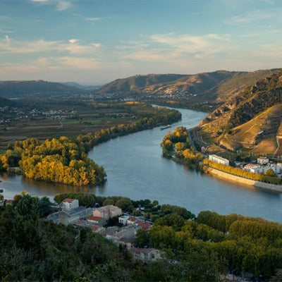 Not your ordinary Rhône