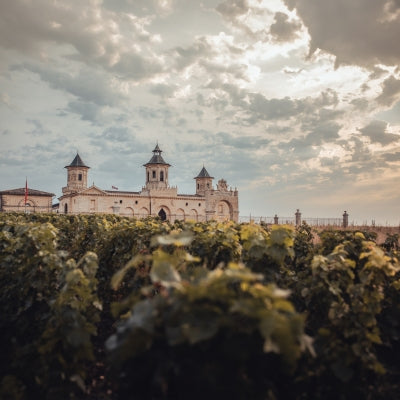 Discover Saint-Estèphe in six wines