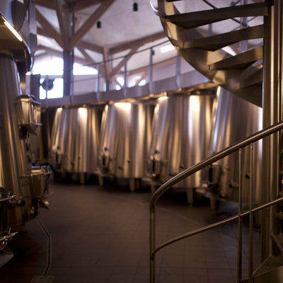 An introduction to wine yeasts: Part 1