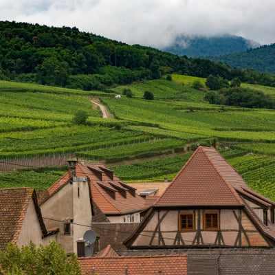 The Alsace Wine Region’s “Mosaic of Terroirs”