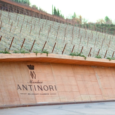Antinori: Six centuries of innovation in Italian wine