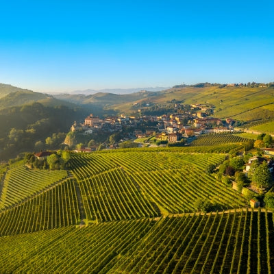 Legendary vintages: Barolo 2016