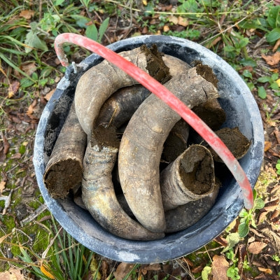 The basics of biodynamic winemaking