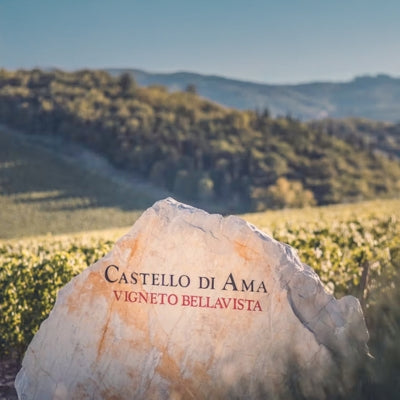 Castello di Ama: art in dialogue with terroir