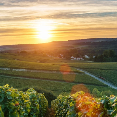 Champagne climate change: Signature style at risk?