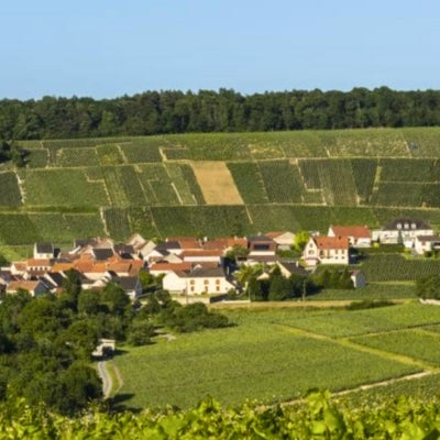 Inside Champagne: sub-regions and “ladders of growth”