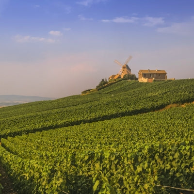 Discover Champagne in six wines