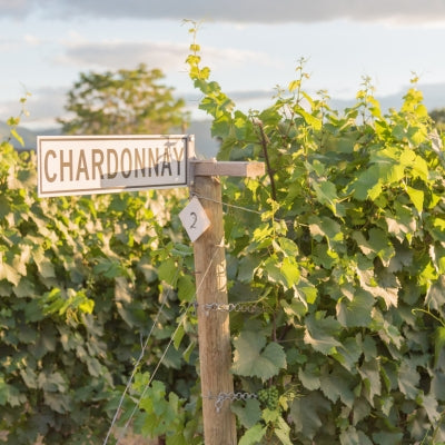 Top Chardonnay