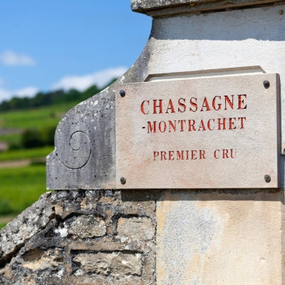 Discover Chassagne-Montrachet in six wines
