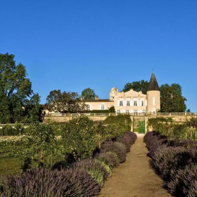 Collector’s Corner: what the Bordeaux 2024 Futures campaign reveals about the market