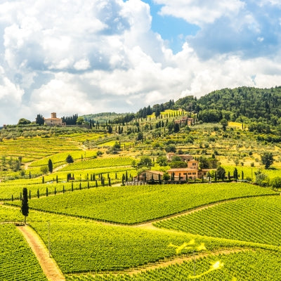 Discover Chianti in six wines
