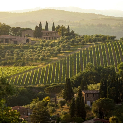 Chianti Classico: The UGAs Explained